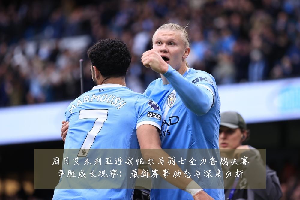 周日艾米利亚迎战帕尔马骑士全力备战决赛争胜成长观察:最新赛事动态与深度分析